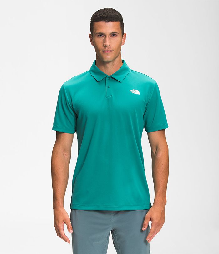 Camiseta The North Face Hombre Wander Polo - Colombia LEDIAV759 - Verde